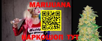 шишки Обь
