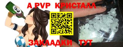 шишки Обь