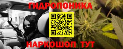 шишки Обь