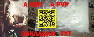 шишки Обь