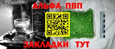 шишки Обь