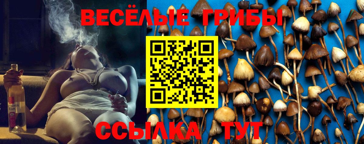 Галлюциногенные грибы ЛСД Тимашёвск