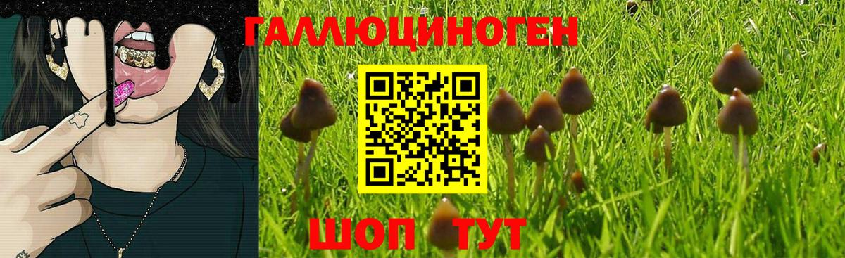 Тимашёвск  Галлюциногенные грибы прущие грибы  Вход с VPN  Галлюциногенные грибы ЛСД 
